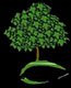 Pacific Lawn & Pest's Logo